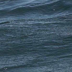 Meet your Posher, Luke